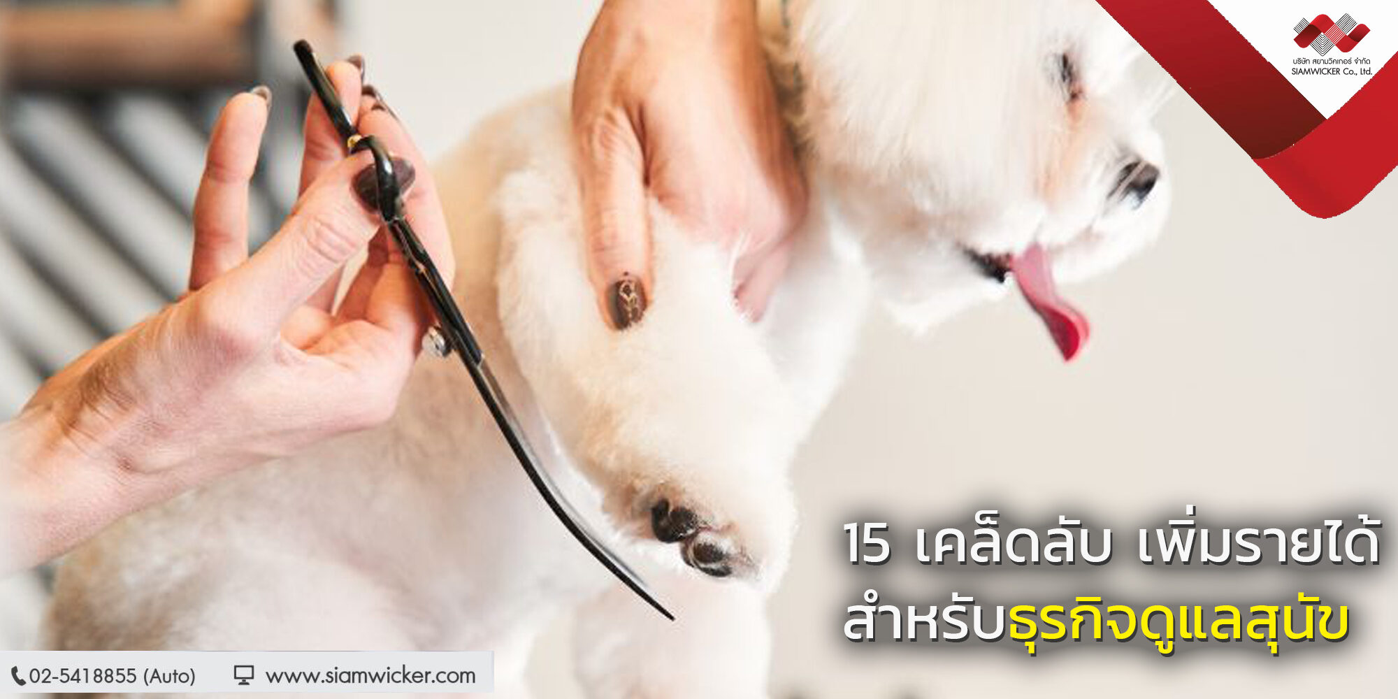 สยามวิคเกอร์