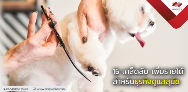 facebooktest สยามวิคเกอร์