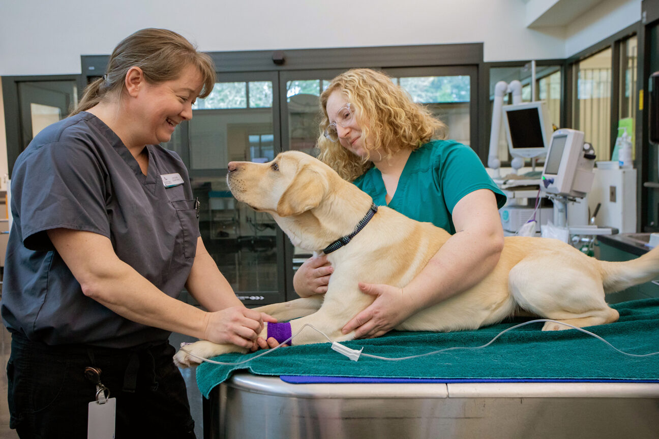 ป้ายอะคริลิค